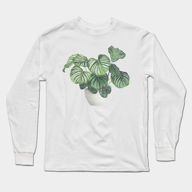 Potted Calathea Plant Long Sleeve T-Shirt by Gush Art Studio 1